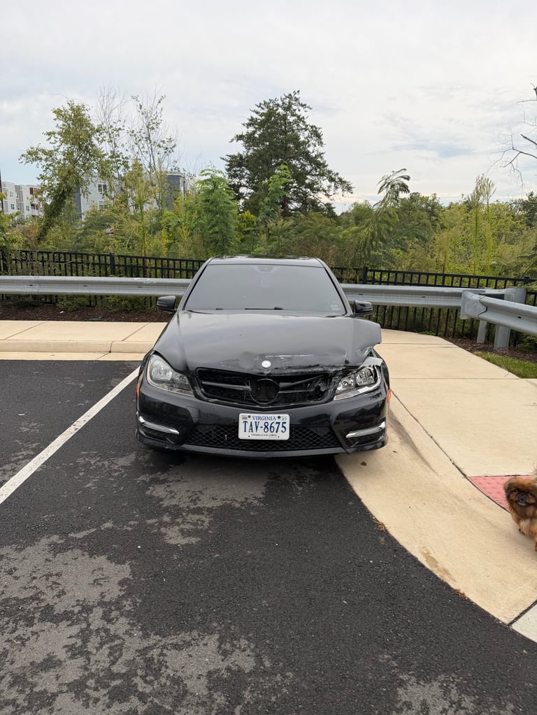 Black Mercedes sedan parked on a highway overpass with trees and sky in background